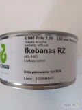 IKEBANAS RZ (j.5 000n , kal.3.0-3.5) nasiona sałaty kruchej firmy Rijk Zwaan oferuje GEPWEG dystrybutor nasion, Dostawa gratis. Płatność...