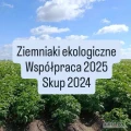 Podejmę współpracę z podmiotami posiadającymi certyfikat ekologiczny. Interesują mnie ziemniaki ekologiczne o podwyższonej...