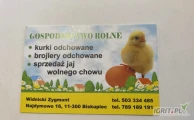 Gospodarstwo rolne oferuje sprzedaż kurek odchowanych, pochodzących z naszej ekologicznej hodowli. W ofercie posiadamy kury różnych ras...