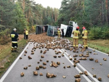 Buraki do cukrowni nie dojechały...