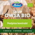 Kupię Owies BIO kontakt 608 03 00 58