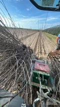 ### Profesjonalne Zakładanie Plantacji Borówki – Kompleksowe Usługi
