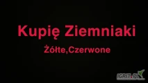 Kupię ziemniaki żółte , czerwone 
