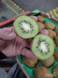 Sprzedam kiwi, klasa I, kraj pochodzenia : Grecja, kaliber 27, kaliber 30, towar spakowany w kartony 3 kg na wytłoczce. Zapraszam do...