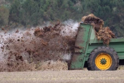 Zasady i terminy stosowania jesienią nawozów zawierających azot