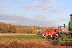 Makabryczny wypadek podczas zbiorów gryki