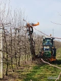 Oferuje cięcie mechaniczne drzew owocowych. 
