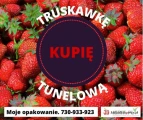 Kupimy truskawkę tunelową w nasze opakowanie punetka 500g. 