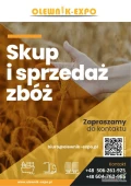 Olewnik-Expo Sp. z o.o. kupi kukurydzę suchą. Dostawy do magazynów w porcie lub magazynu zlokalizowanego w kodzie pocztowym 09-210....