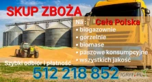 Zboże każdej jakości pszenica pszenżyto żyto jęczmień. Odbiór z gospodarstwa. Szybka płatność i odbiór zapraszamy...