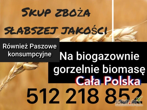 /images/posts/2024/02/1815086/pxYCaIi6iZiuZvPY7ISedo2jObv67YfpY1ygD7ho.jpeg