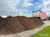 Sprzedam podłoże do Borówki. Głównie z sosny, skład to igliwie korą Zrebka oraz Trocina. Transport ruchoma podłoga. Więcej...