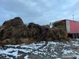 Sprzedam Trociny korę obornik koński kompost do borówki transport ruchoma podłoga zapraszam do kontaktu.