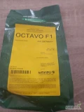 GEPWEG oferuje nasiona marchwi firm: Vilmorin odmiany- Volcano F1,Speedo F1, Bolero F1,Soprano F1,Octavo F1, Melodio F1,  Clause odmiany...