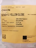 NASIONA CEBULI ozimej SENSHYU YELLOW (j.250 000n). Dostawa gratis. Płatne przy odbiorze.