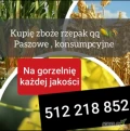 Kupię zboże kukurydza rzepak paszowe i konsumpcyjne, również na gorzelnię słabszej jakości  szybka płatność 5/1/2/2/1/8/8/5/2....