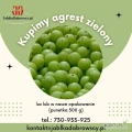 Kupimy agrest zielony rwany ręcznie luzem lub w naszą punetkę 500g. 