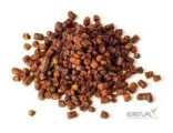 Sprzedam pierzge,ilosci hurtowe,odbior na Litwie,cena 35 euro/kg