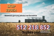 Kupię zboże kukurydza rzepak paszowe i konsumpcyjne, również na gorzelnię słabszej jakości  szybka płatność 512218852