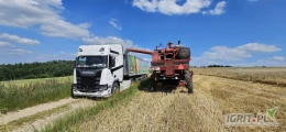 Firma Gawor Agro kupi Jęczmień paszowy, Cena DAP Nysa, Możliwy odbiór naszym transportem.
