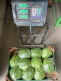 Sprzedam Sałatę lodową, mini rzymską, rzymską, Pak choi. Jestem producentem, posiadam Global Gap oraz Grasp.