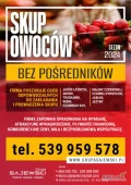 Poszukiwana osoba do prowadzenia skupu jagód leśnych, aroni, truskawek, wiśni, maliny, porzeczki czarnej i czer jabłek,jeżyny w sezonie...