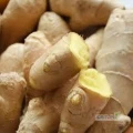 Types:   Fresh Ginger; Air-Dried Ginger Pure white fresh garlic and normal white garlic , Fresh Onions, Fresh Green Cardamon, Dried...