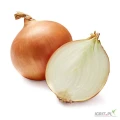 New harvest fresh onions for sale 