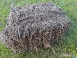 Sprzedam oregano 40 ton .