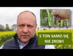 5 ton samo się nie zrobi - chroń rzepak gdy kwitnie! RZEPAK 2022