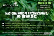 Sprzedam certyfikowane nasiona konopi włóknistych do siewu 2022. Odmiany  jednopienne i dwupienne. W ofercie ponad 20 różnych odmian....