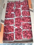 Urwe maline pod zamówienie.zrywamy codziennie po 50-60 kg . Mogą być mniejsze iloßci ,opakowanie 250g lub 500g .malina zdrową,gruba...