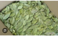 I am the European representative of the largest bay leaves producer in Syria. We are writing to introduce our company and its offerings for...