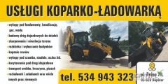 Oferuję usługi koparko - ładowarka. Wykopy, równanie terenów, wyrywanie korzeni. Faktura VAT.