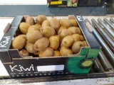 Dostarczę kiwi kl I w koszyczku 1kg, 4kg, 6kg . Kaliber 60-80 g, 80-100g, 100-120g