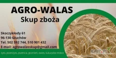 Skup Zboża Agro-Walas sprzeda pszenżyto, owies, jęczmień, pszenicę, żyto. Polskie zboże z polskich gospodarstw. Dysponujemy własnym...