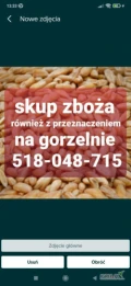 Skup zboża paszowego cała Polska zanieczyszczone wilgotne niepełnowartościowe z zapachem z robakiem. Odbiór z gospodarstwa. Płatne w...