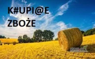 Kupie zboże gorszej jakości
