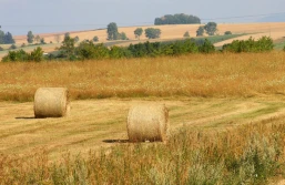 IMGW: lato będzie upalne, a co z opadami?