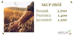 Firma BIOBOR z siedzibą w Ciepieniu 28, 87-645 Zbójno prowadzi całoroczny skup zbóż takich jak:
