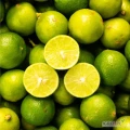 Koncentrat Limes/Citrus WHOLESALE jest wytwarzany przez wyciśnięcie soku z wewnętrznej części limonki, a następnie podgrzanie...