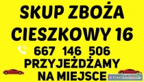 Kupię pszenice paszową w cenie 1600zl brutto. Jęczmień oraz pszenżyto 1350zl. Skup zboża w Cieszkowach 28-506 Czarnocin