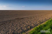 Wezmę w dzierżawę grunty rolne w promieniu 30 km od Koronowa.
