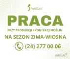 PRACA NA SEZON ZIMA-WIOSNAPrzy produkcji i konfekcji roślinPracuj w GąbinieUmowa zlecenie (pełne ubezpieczenie),Jedna zmiana,...