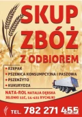 SKUP ZBÓŻ ODBIÓR Z GOSPODARSTWA! FIRMA Nata-Rol Natalia Dębska z Pasłęka prowadzi całoroczny skup zbóż z odbiorem z gospodarstw z...