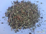 Oregano. Sprzedam 30 ton oregano 