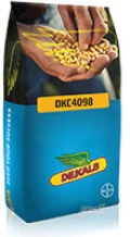 KUKURYDZA DEKALB DKC 4098 (FAO Z290) - jednostka siewna 50.000 nasion 
