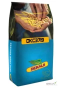 KUKURYDZA DEKALB DKC3719 (FAO K240-250)- jednostka siewna 50.000 nasion
