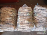 Sprzedam pietruszkę możliwość pakowania w big bag oraz w worki 5 10 kg