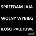 Sprzedam jaja z wolnego wybiegu w rozmiarze M oraz L (krem lub brąz) - ilości paletowe.
